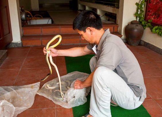 View of Le Mat Snake Village – Best place to try snake dishes